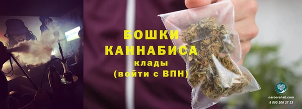 стаф Бронницы