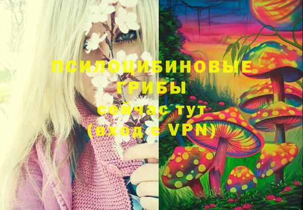 винт Бугульма