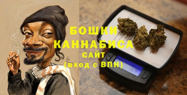 стаф Бронницы