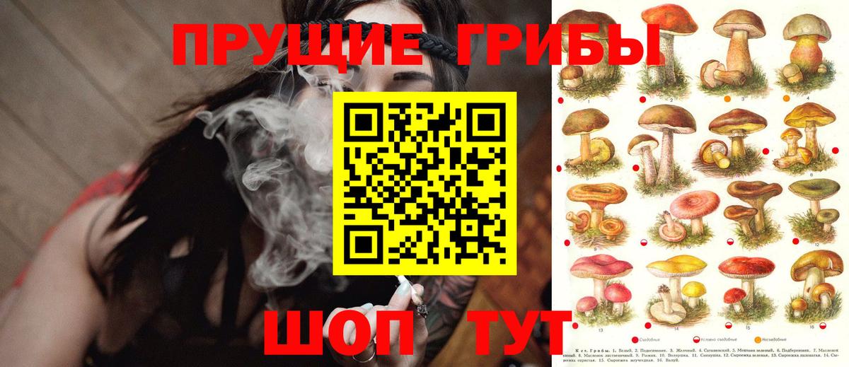 Курск  Галлюциногенные грибы мицелий  Вход с VPN 